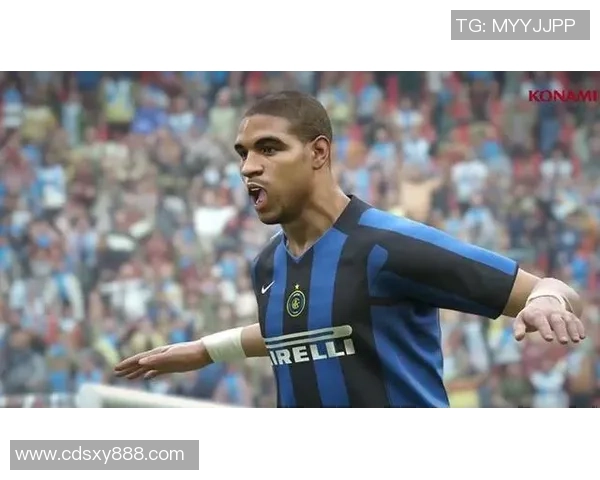 《天下足球球星传奇：足球场上的英雄与梦想》